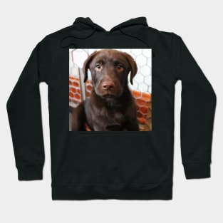 Labrador Puppy Hoodie